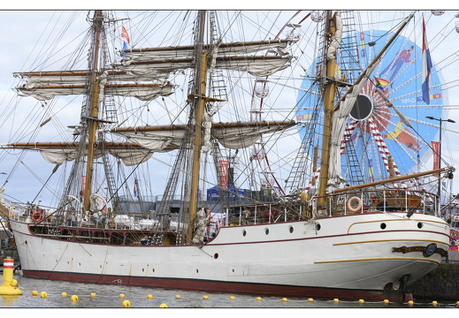 20250823-Sail-Sloeproeien-246